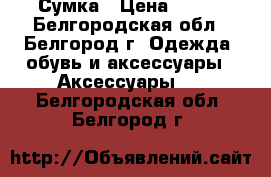 Сумка › Цена ­ 500 - Белгородская обл., Белгород г. Одежда, обувь и аксессуары » Аксессуары   . Белгородская обл.,Белгород г.